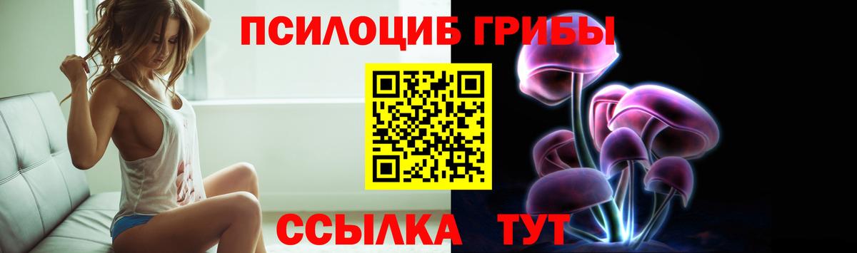 Галлюциногенные грибы GOLDEN TEACHER  Галлюциногенные грибы MAGIC MUSHROOMS  Балашиха  Вход с VPN 
